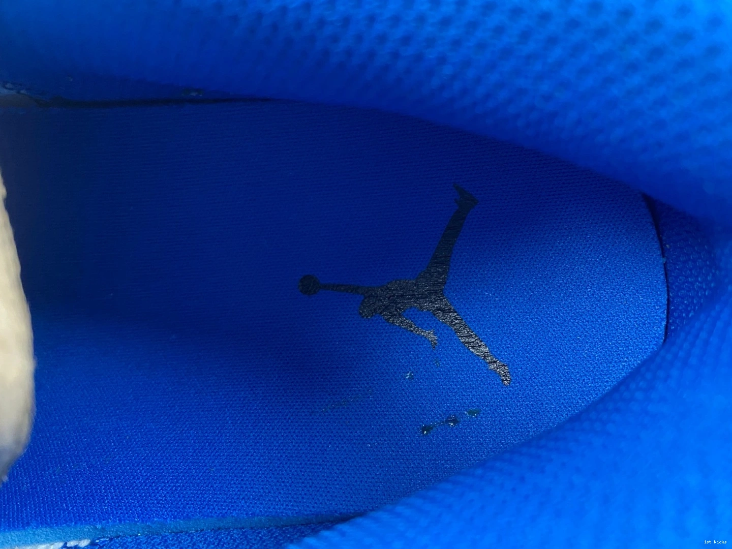 Blue Jordan DM1199-140 Air 1 Low True 0427